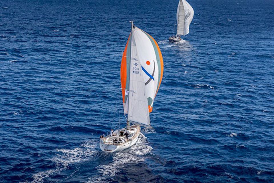 oyster-49-yattarna-4