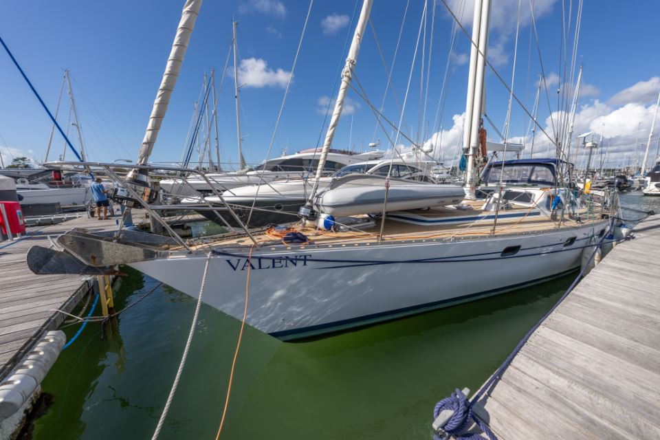 oyster-55-valent-2