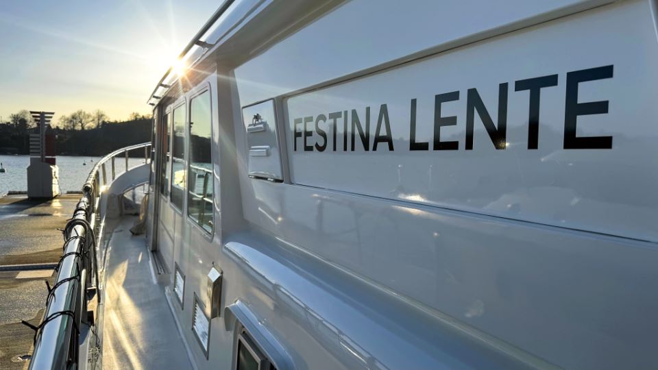 stentor-1800-festina-lente-9