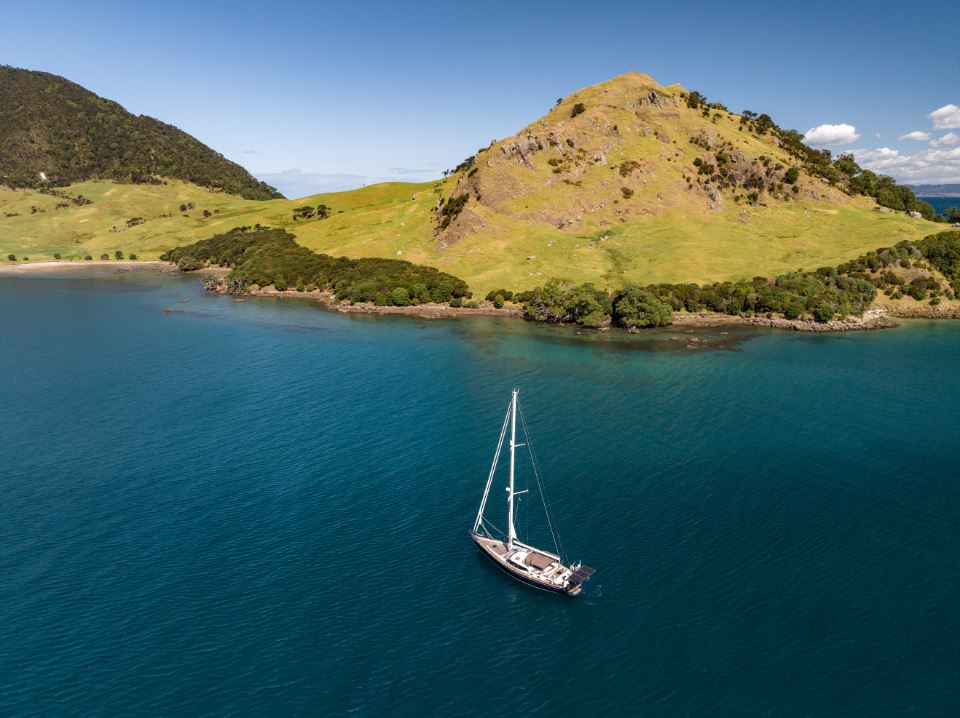 discovery-55-sylvia-9